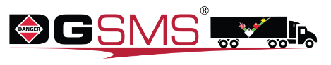 Logo DGsms